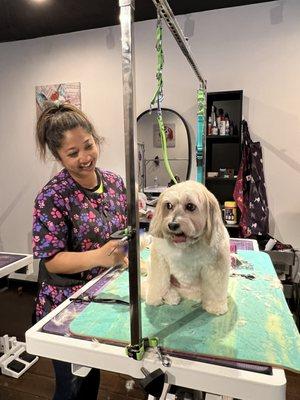 Maryanne smiling enjoying grooming our dog name Chewee