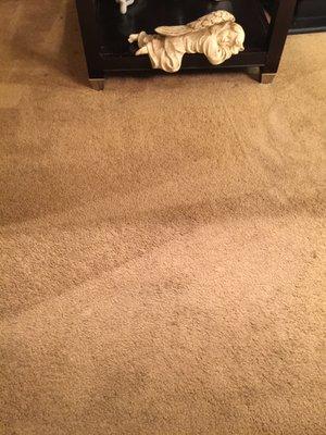 AFTER- Same area after treated & cleaned by Clean for Life Carpet Cleaning