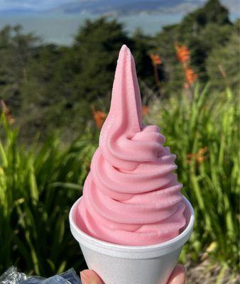 Watermelon flavored! Great non-dairy, vegan, soft serve!