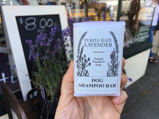 Lavender dog shampoo bar