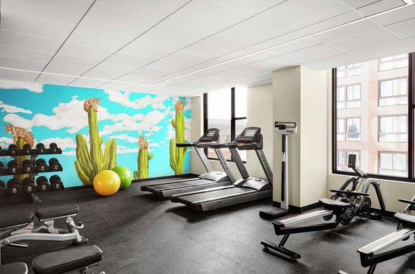 Health club  fitness center  gym