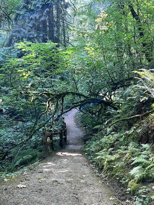 Woods Memorial Natural Area