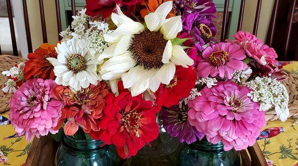 White Sunflowers and Zinnias make a stunning bouquet.