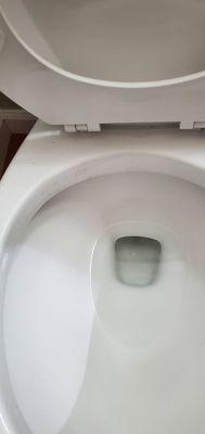 Dirty toilet