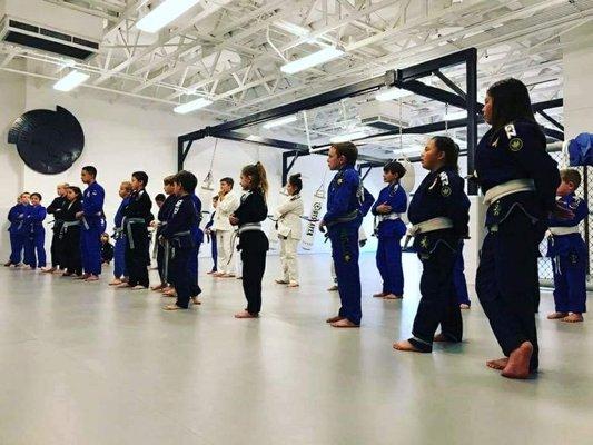 Kids Jiu-jitsu/ Self-defense