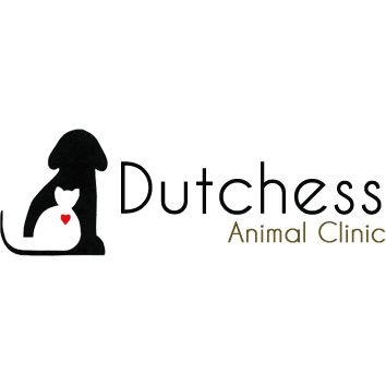 Dutchess Animal Clinic Wappingers Falls NY