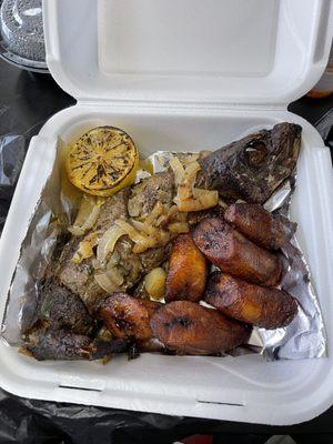 Mackeral Fish Thomson and Plantain