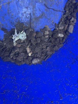 Rocks found on my first 3 shovel full...minus the smaller rocks that passed through the sifter.