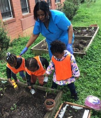 Gardening at Mazique