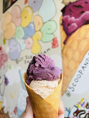 Signature Black Raspberry Chocolate Chip + Seasonal Peach!