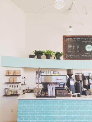 Love the pale blue decor & plants sprinkled throughout the shop! So homey and inviting.