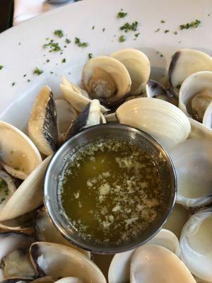 Little neck clams