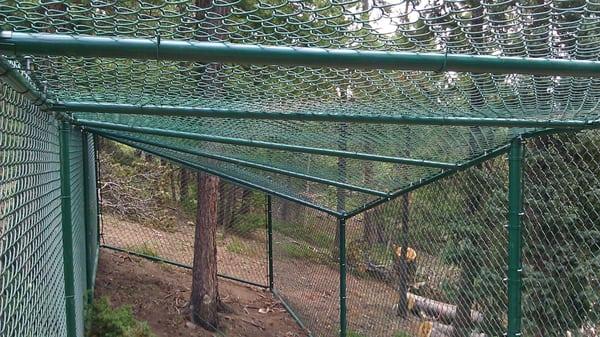 Green Chainlink Dog Enclosure above Estes Park