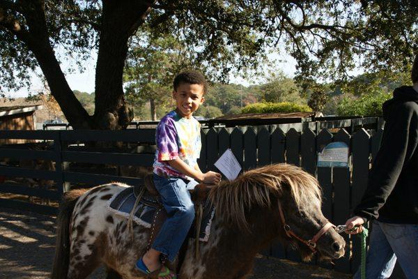 Lawton Stables