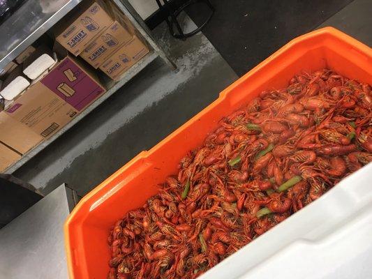 Best crawfish in Algiers!  $5.50/lb as of 2/28/18. Shrimp $8.99/lb.