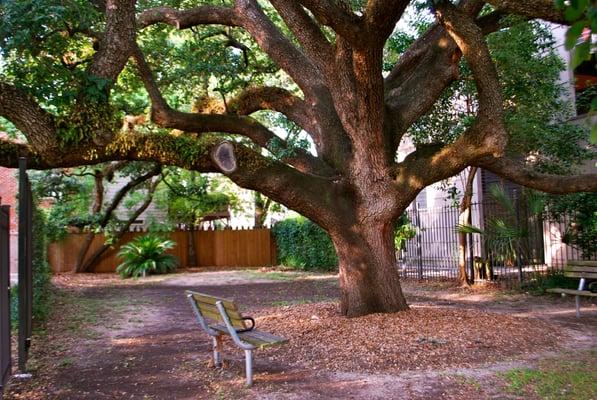 Park bench