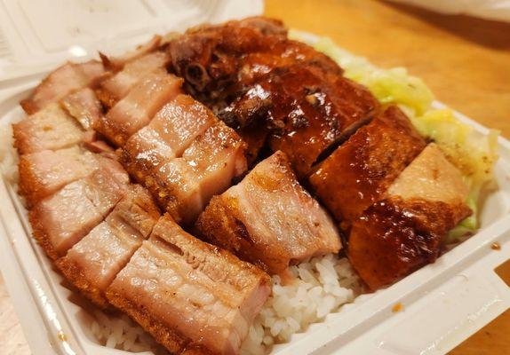 Roast duck and roast pork over rice for lunch