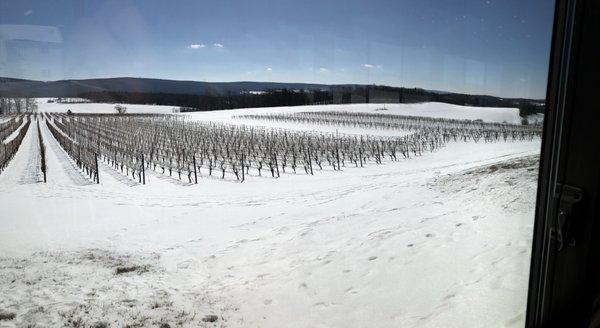 Our winter view from the pavilion.