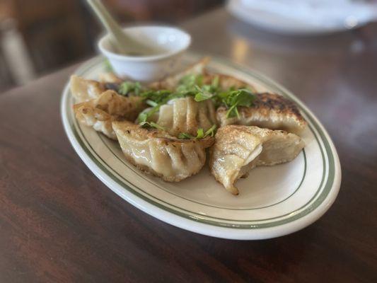 Fried Dumplings