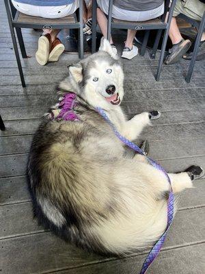 Laying in the walkway