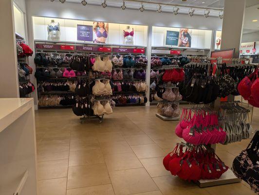 Lane Bryant, Haywood Mall, Greenville