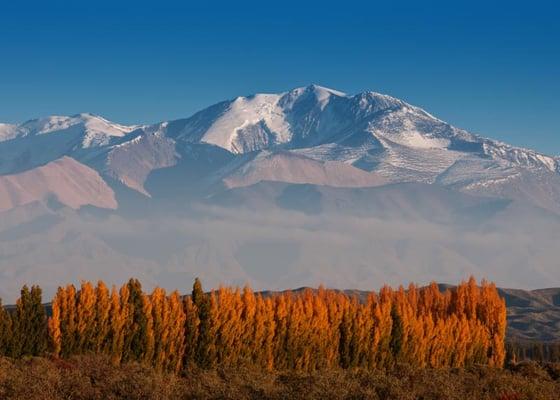 Valle de Uco, winelands outside Mendoza, Argentina