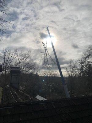 Ice storm damage