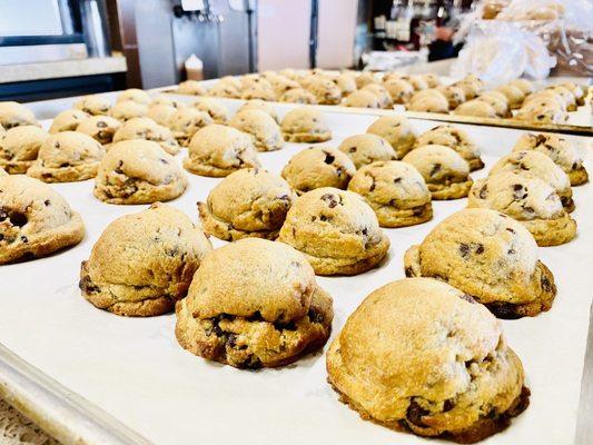 oh my goshhhh these chocolate chip cookies