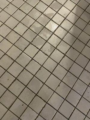 Mold on shower floor