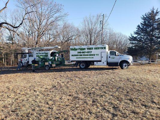 Mother Nature Tree Service