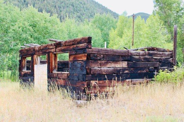 Abandoned homestead