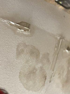 Mold and water damage in ceiling. Leaks when rains