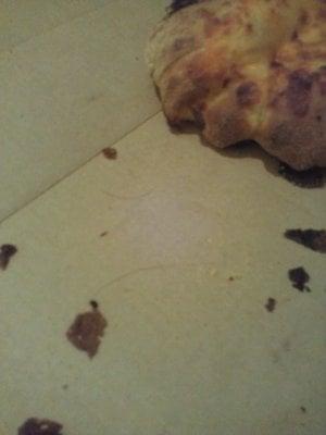 here is the hair that was found just in our cheesy bread.