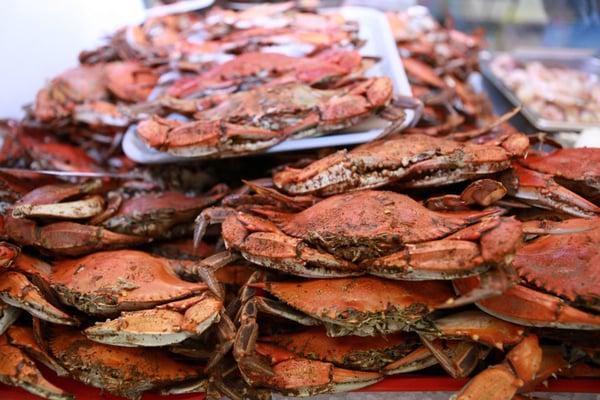 Delicious looking & tasting crabs at Annie's Seafood :D