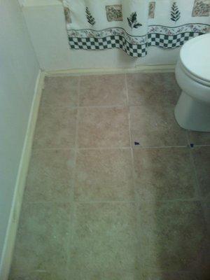 Master Bathroom. Grout lines were not cleaned up. Grout left on the tiles. Did not replace broken tile during install. Incomplete job. Did n