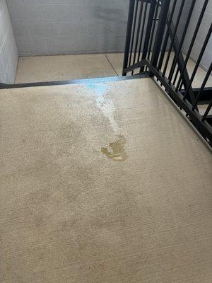 Dog pee, dog poop, and clubhouse under ventilation