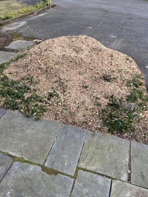 Large tree and stump damaging roof/chimney removed