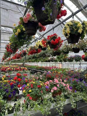 Romence Gardens & Greenhouses