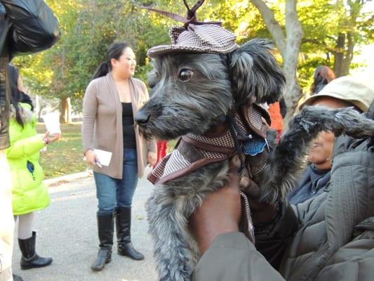 Halloween costume contest.  This is Sadie...she won.