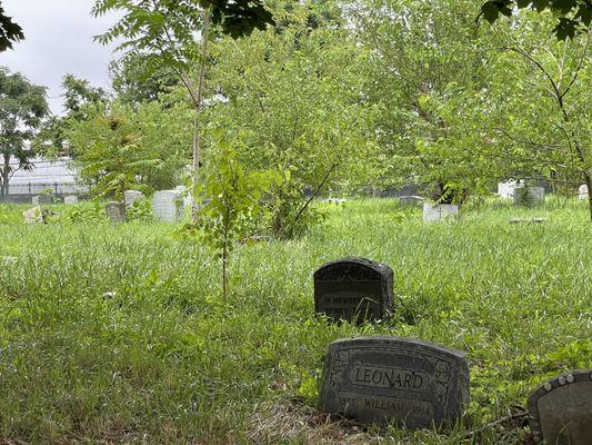 Cemetery still a mess. Grass way too high