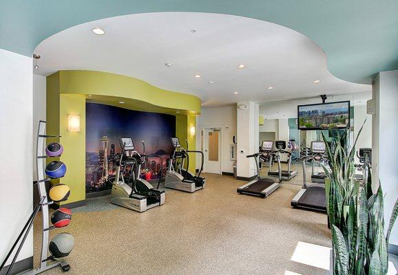 Fitness center with cardio and strength training equipment.