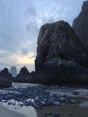 The needles, just a short walk from the office.