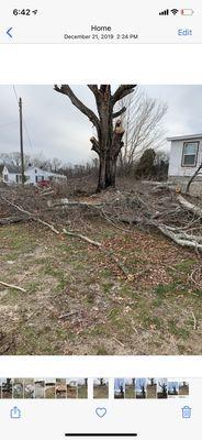 This is how the yard was left.