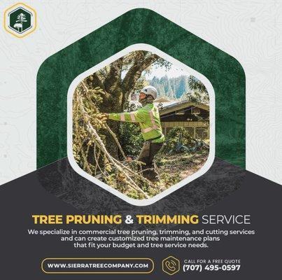 Tree trimming and pruning service.