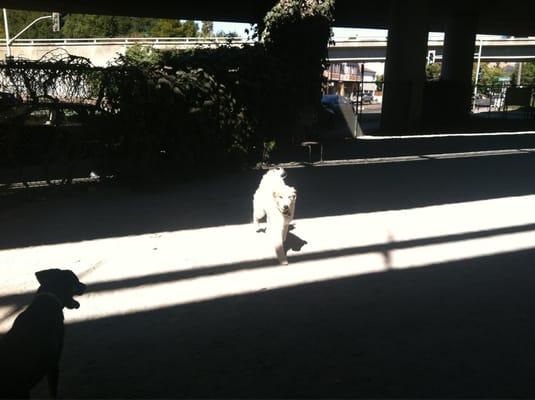 Overshadowed by hwy 24 but at least a nearby offleash park