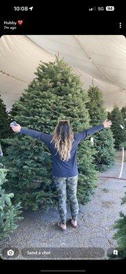 Huge trees available!