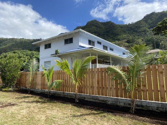 AFTER with 4 new coconut palm trees and fresh nutrient rich soil ready for new plants.