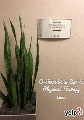 The CORE Institute - Mesa Physical Therapy