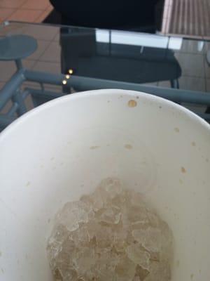 If this is no ice.. I'd HATE to see extra ice!