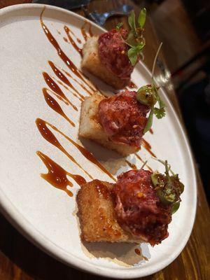 Spicy tuna appetizer- rice bed was delicious, flavorful, crispy and tender.